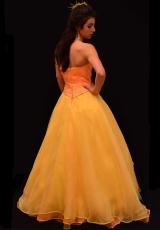 Caution Orange